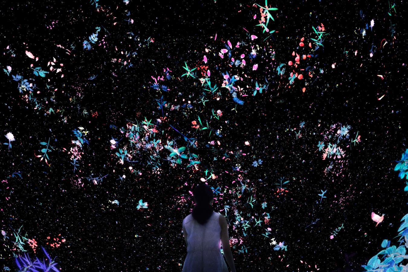 勢力戦 公式 Caravan Stories キャラバンストーリーズ