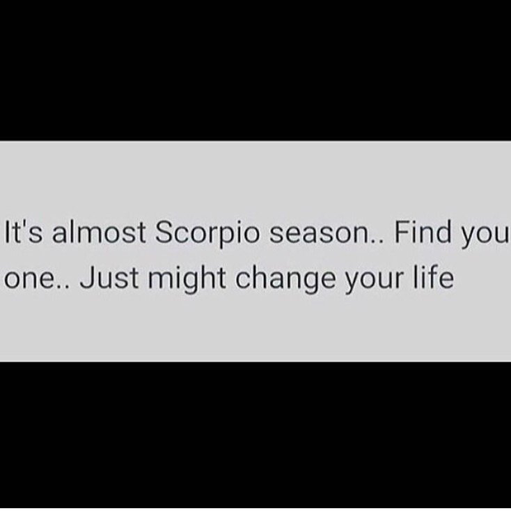 ScorpioMystique's tweet photo. Get you a #Scorpio & you're set for life ♏️ #ScorpioSeason #TeamScorpio 🦂 https://t.co/iWYrN82q25