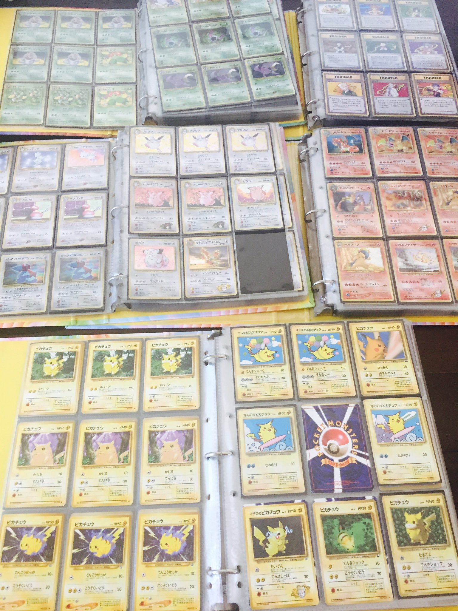 高橋みなみ 今日は ポケモンカードゲーム周年記念日らしい 私の青春 おめでとうございます 私はカードコレクターなのです カード欲しさに大会出たりしたなぁ 懐かしい あ うちのポケモン見切れたw
