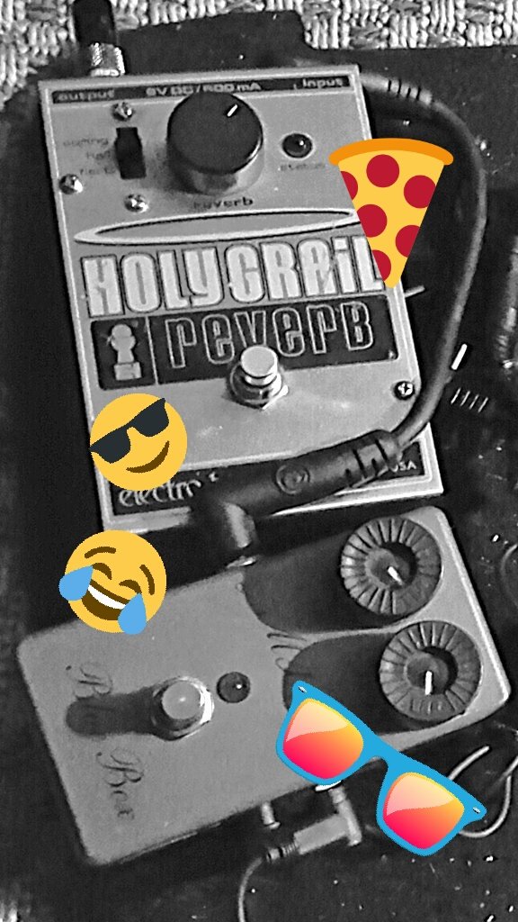 yourghostmother's tweet photo. Shimmering. Partying. Fuzzing. https://t.co/Ort5OAtLS3