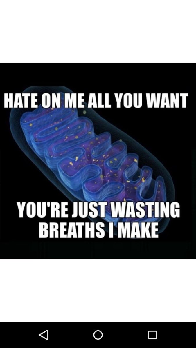OGmitochondria6's tweet photo. #lphsorganelleelection2016 https://t.co/kEsvE3y7qs