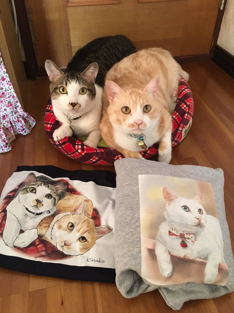 サントスピンク TRAVAS TOKYO 猫 ネコ キャット オフショルダー