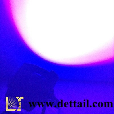 COB par light 100Watts par light
there are pure white.warm white.pure+warm white , RGB ,RGBW ,RGBWY ,RGBWY+UV to choose the colors for you !