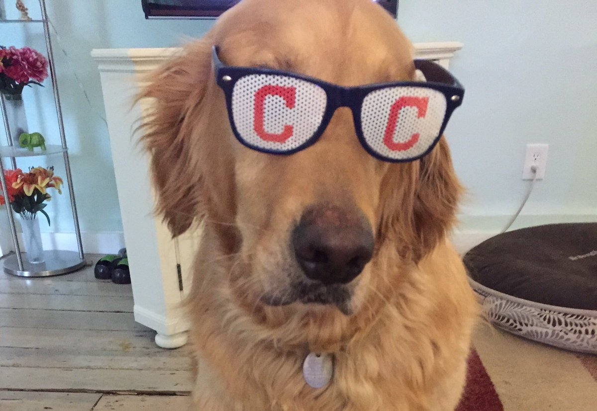 Congrats to the @Indians, #WorldSeries bound!