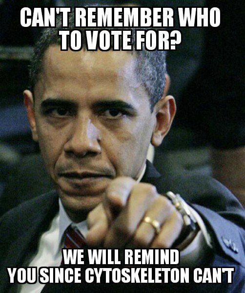 SmoothLikeBntz's tweet photo. DON'T VOTE FOR CYTOSKELETON THEY CAUSE ALZHEIMER'S DISEASE! #LPHSorganelleelction2016 https://t.co/MCQhWLHdhR