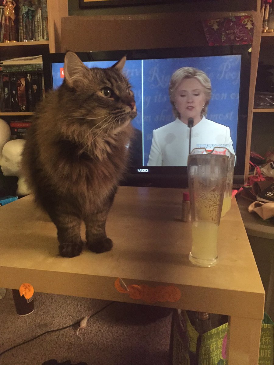 PARANO1ASTREET's tweet image. Vote Ascot. Rt if u agree #debate2016