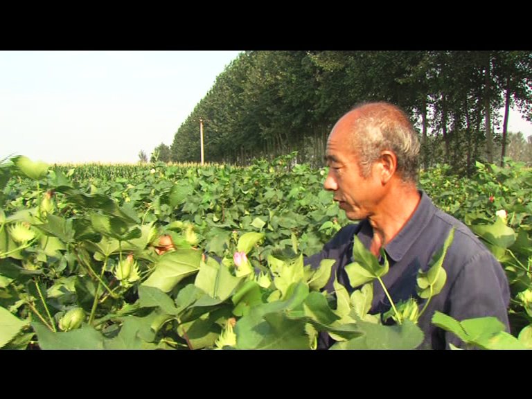 isaaa_org's tweet photo. Study finds that #GMcrops improved health of Chinese farmers https://t.co/9ECSmSR1PD #CropBiotechUpdate https://t.co/6SaHoLYyaU