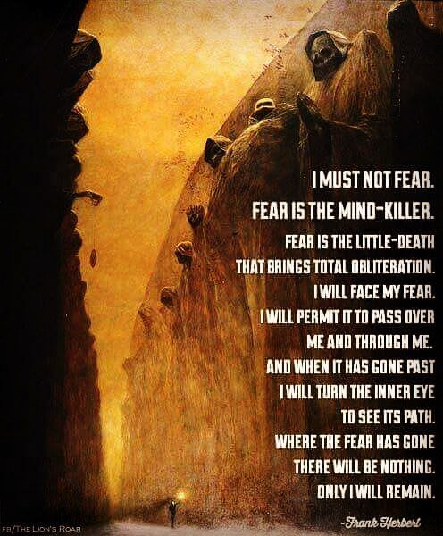csp567's tweet image. I must not fear.
Fear is the mind killer.
#fear #mindkiller #dontfear
#inspiration #inspir… ift.tt/2eiSKPb