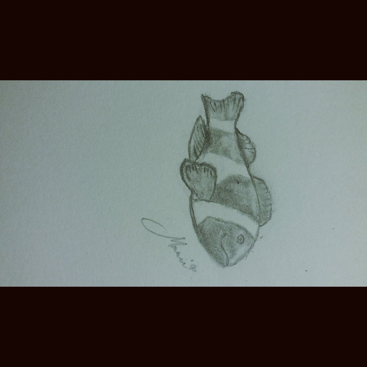 heyitsmaree3's tweet photo. I found NEMOOO! #doodlegoals https://t.co/AQHlJmfLwn