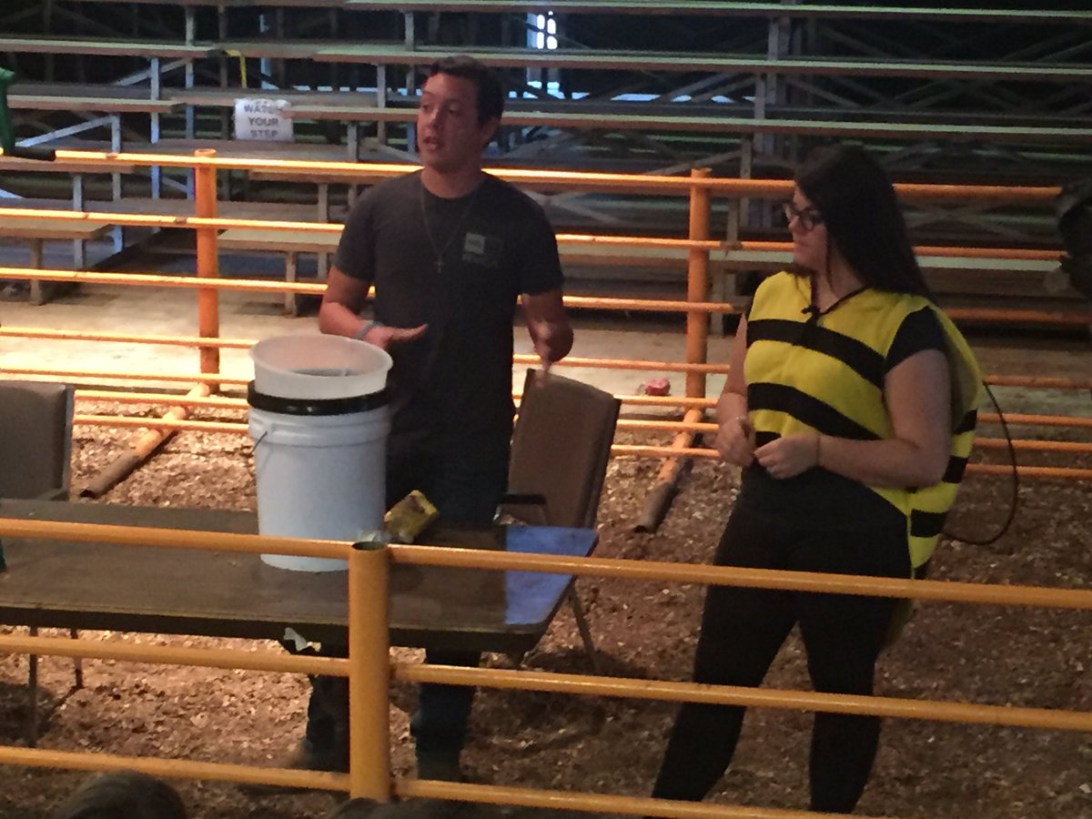 SpringHillFFA's tweet image. FFA Seniors teaching kids about the importance of bees.