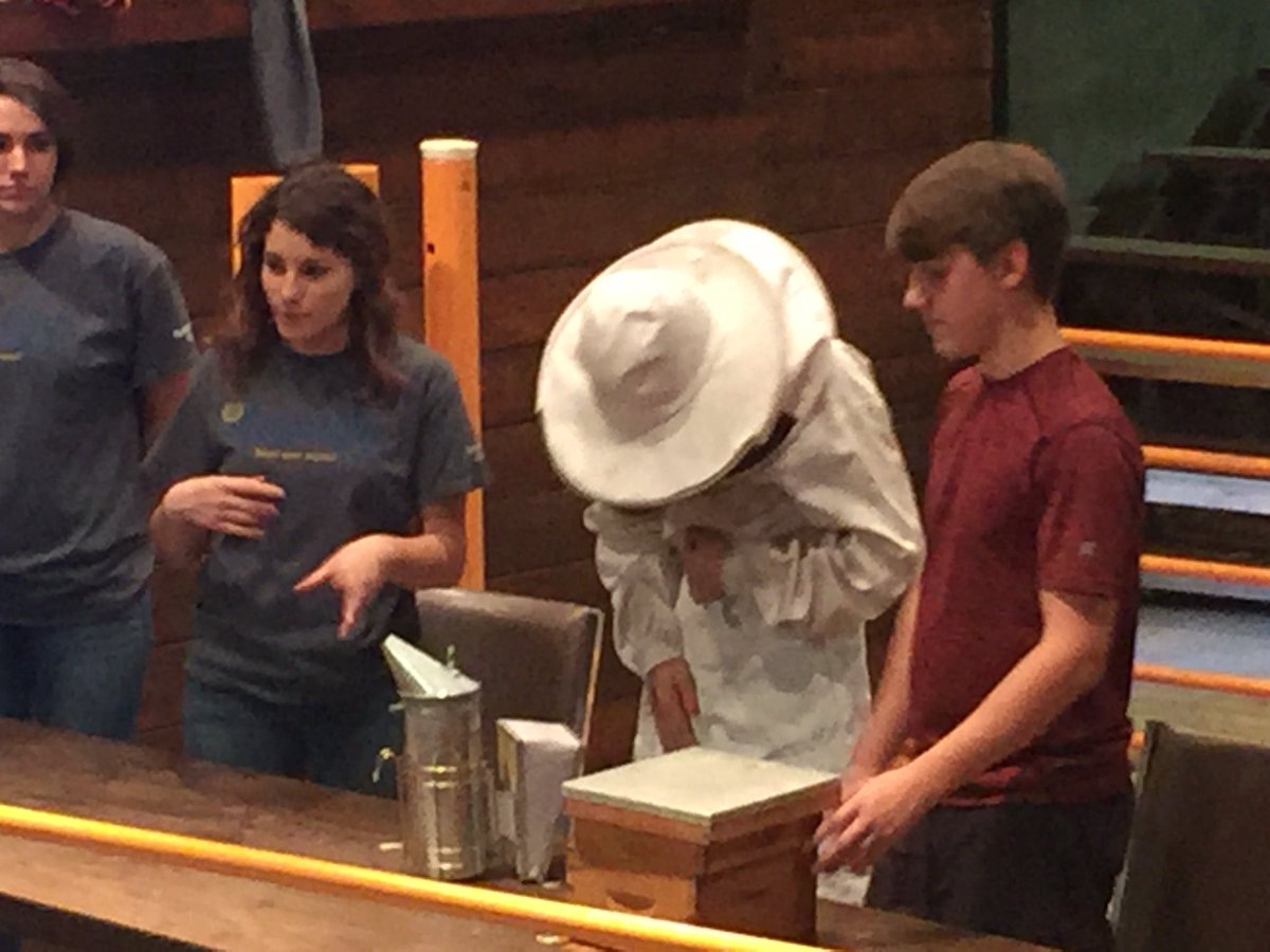 SpringHillFFA's tweet image. FFA Seniors teaching kids about the importance of bees.