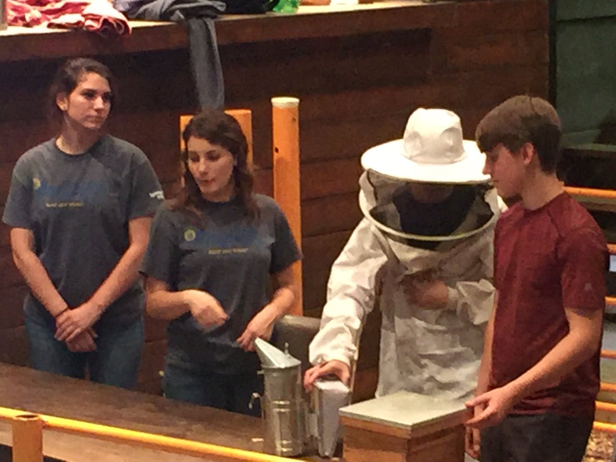 SpringHillFFA's tweet image. FFA Seniors teaching kids about the importance of bees.