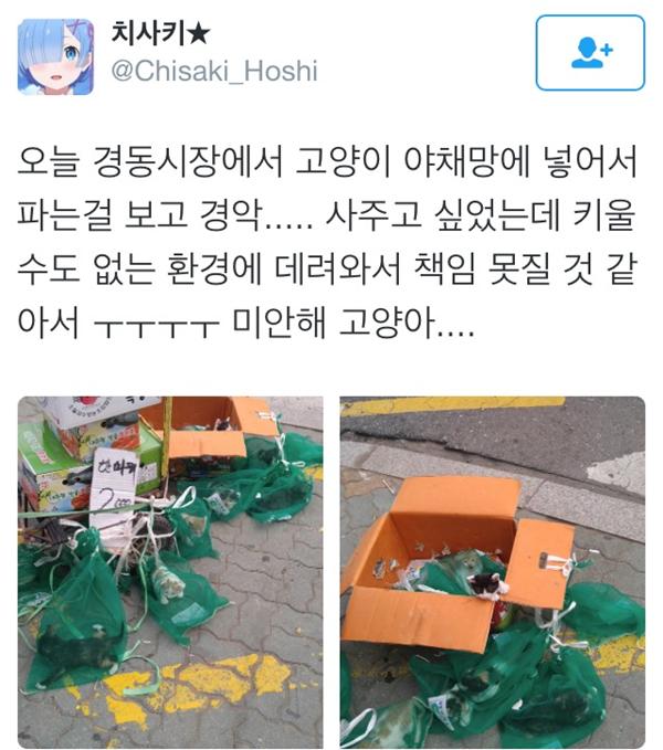 충격적인 고양이 판매 현장 : 99fun.net/bbs/board.php?…