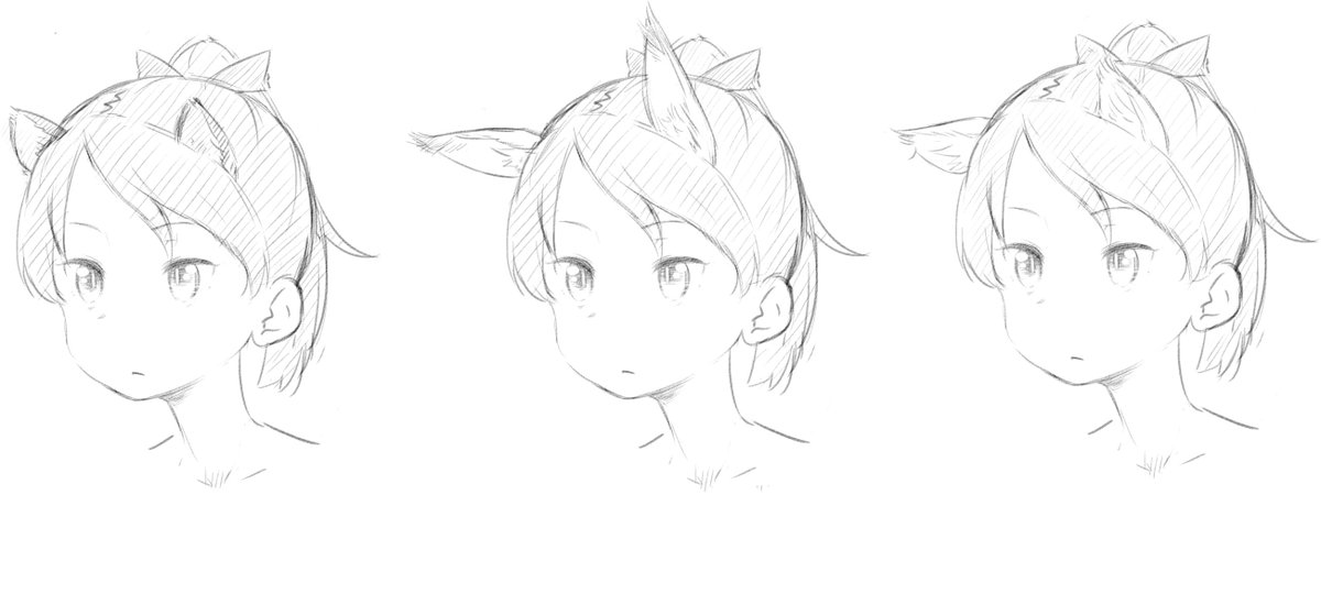 タヌキ
キツネ
ネコ 