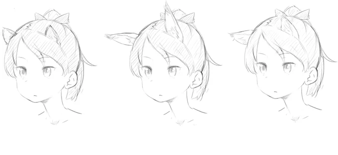 タヌキ
キツネ
ネコ 