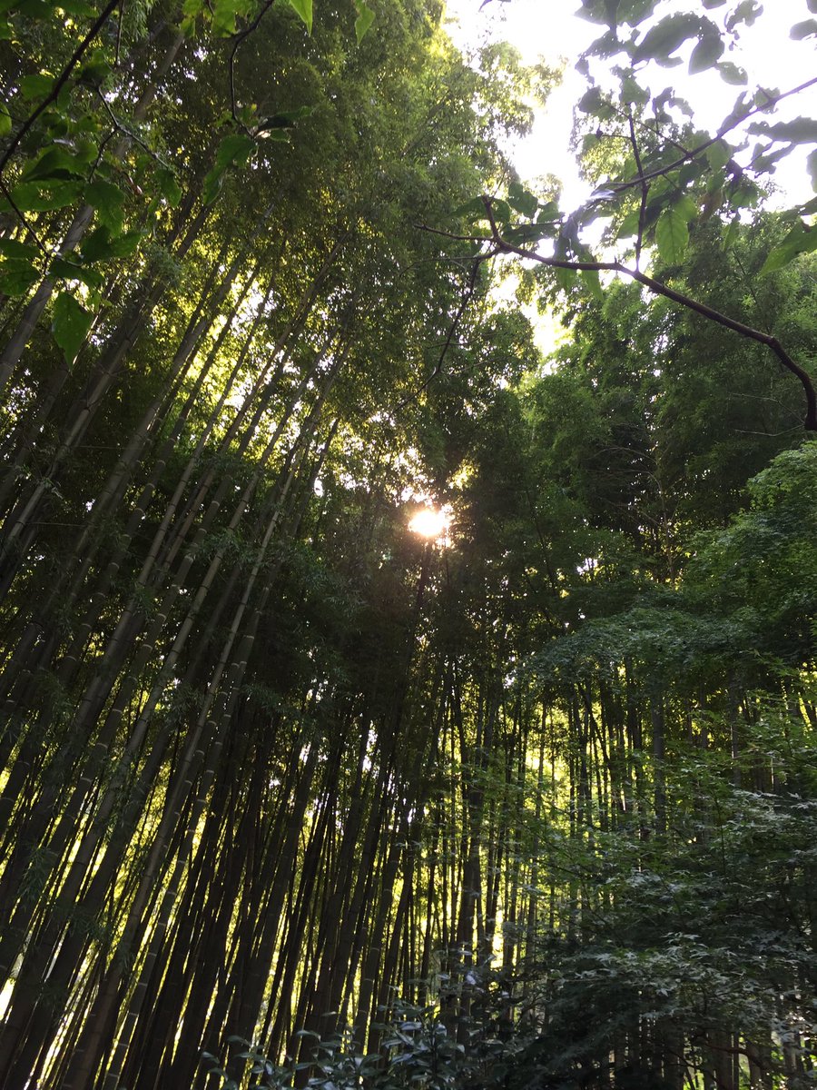 東京力車 新プロジェクト 東京力車の姉妹店 鎌倉力車へご挨拶 そして 鎌倉を勉強 人力車 東京力車 オーディション 浅草 イケメン 筋肉 マッスル