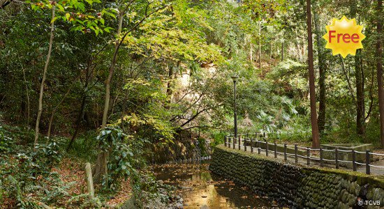 My_Asia_Guide's tweet image. RT @_japantravel_ #Japan Top 20 FREE things to do this summer in Japan tinyurl.com/zdhsvxw