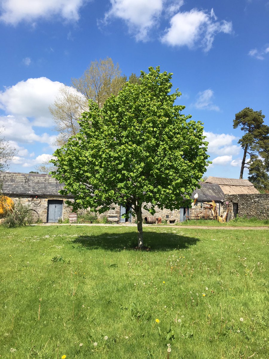 the perfect spot to write some tunes. #ThursdayThoughts