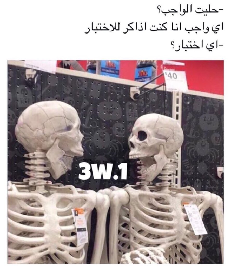 Hanan Al-Mushouti ⭐️ tweet media