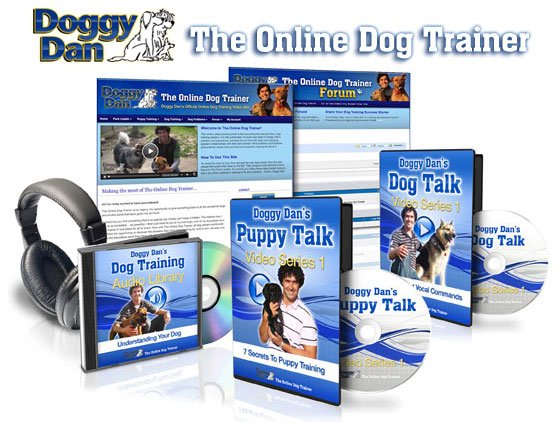 dog_training123's tweet photo. Dog Training Tips==>>> https://t.co/pFqyt0Jsse #dogtraining #dogs #trainingyourdog https://t.co/fTolIfs7w5