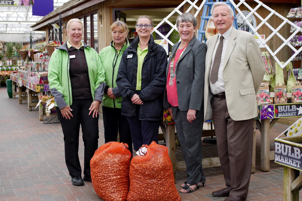 We've donated 9,000 purple crocus bulbs to Wimborne Rotary Club in support of #Purple4Polio <a href="/RotaryGBI/">Rotary GB & Ireland</a> haskins.co.uk/haskins-garden…