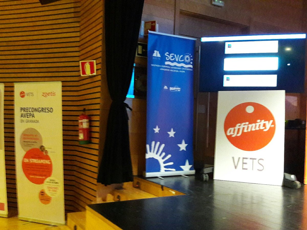 VetsAndClinics's tweet photo. Todo a punto para #DermaGranada #avepasvec16 para recibir vuestros tweets!! https://t.co/jcjDvw8Ck6