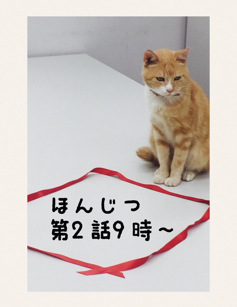ドクターx 16年10月日 木 ツイ速まとめ ドクターx 16年10月日 木 ツイ速まとめ