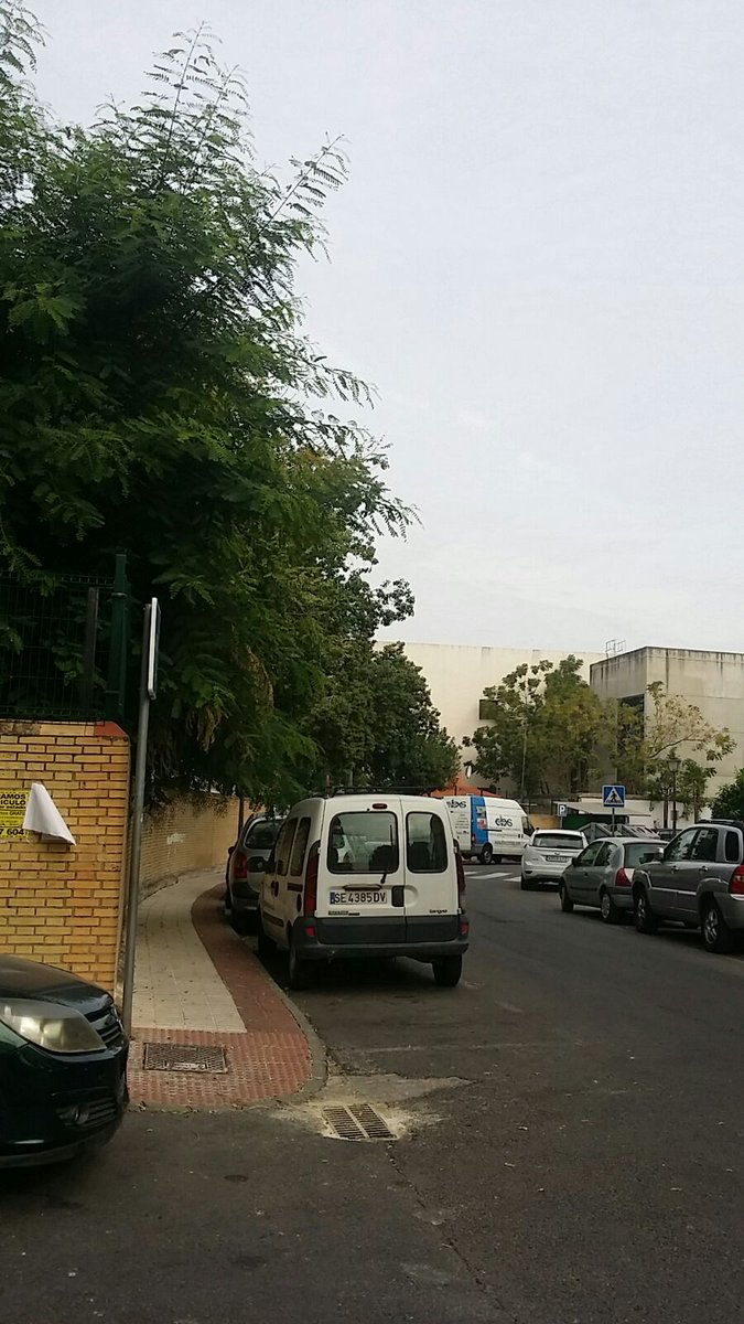 eveliarincon's tweet photo. Madres CEIP Buenavista San Jerónimo solicitan que denunciemos falta de poda de árboles en el centro escolar,Sr. ESPADAS #Sevillaabandonada https://t.co/O7WeMrswgJ