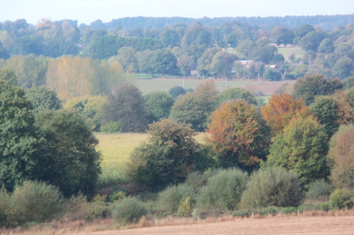 Philip_Topping's tweet photo. Nice walk this morning. https://t.co/EVHJGuRu6S