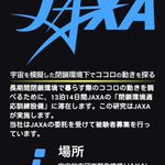 半月で38万円ｗ閉鎖空間にいるだけでJAXAからお金が貰えるぞ!