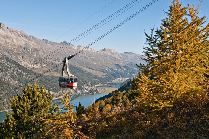 St. Moritz tweet media