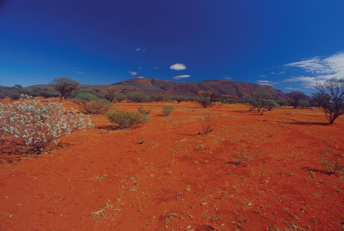 GascoyneShire's tweet photo. Beautiful Shot of Mt Augutus #Mtaugustus #GascoyneJunction #Outback #LargestRock https://t.co/cypuVJm554