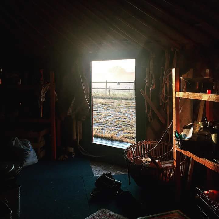 Хүний нутагт Монгол гэрт сэрээд л гоё биш гэж үү.
#nomadichikingclub #nomadichikingclubeurope #nomadichikingclubsweden