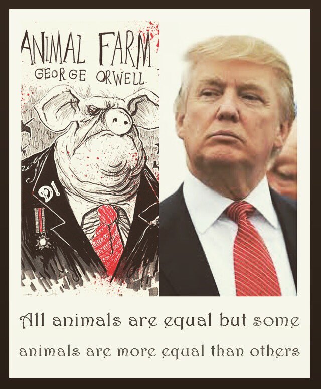Image result for trump animal farm