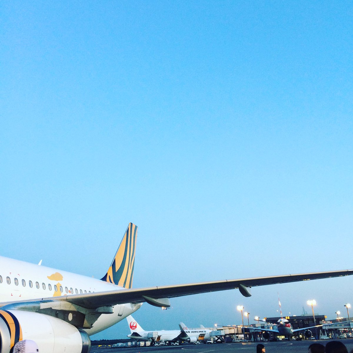 kirikko's tweet image. 今回は虎。行ってきます。#boardingtime