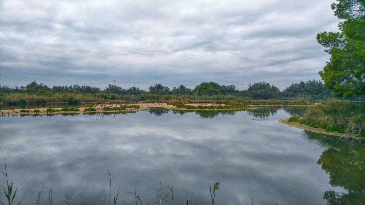 Vistas desde el mirador del Centro de Interpretación Racó de L'Olla. Las visitas son gratuitas  #RutaDelArrozValencia