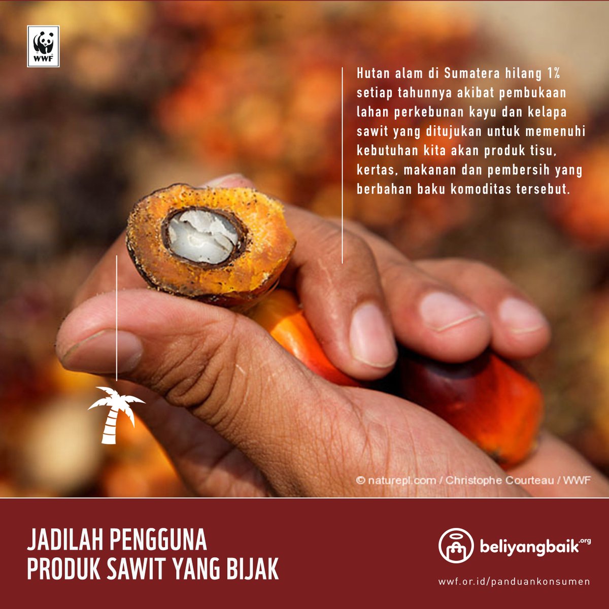 Pilih produk berlabel RSPO untuk mendukung produksi kelapa sawit yang berkelanjutan bit.ly/PanduanKonsume… #BeliYangBaik
