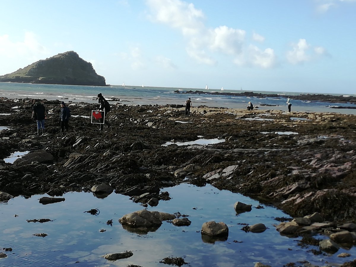 ShoreThing_MBA's tweet photo. Beautiful day for a @ShoreThing_MBA survey at Wembury Point! Thanks to @MBSPlymUni, @JohnMewstone and @rockpoolsteph for helping @thembauk https://t.co/0xkgmCKeA3