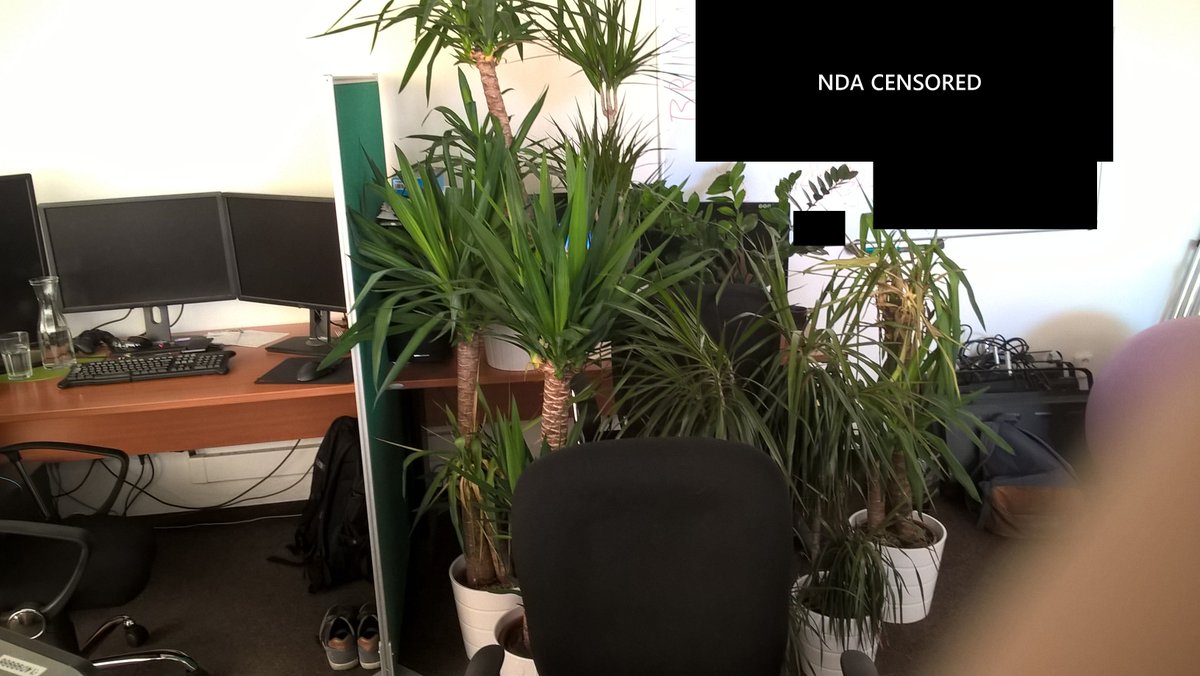 BohemiaPalmTree's tweet image. Dayz Palms applying for the position of QA lead.
#GuanoFertilizer