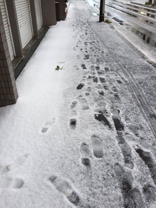 【悲報】
本日、札幌に雪が降りました。