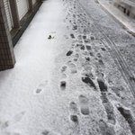 まじかよw札幌はもう雪が降ったらしい!