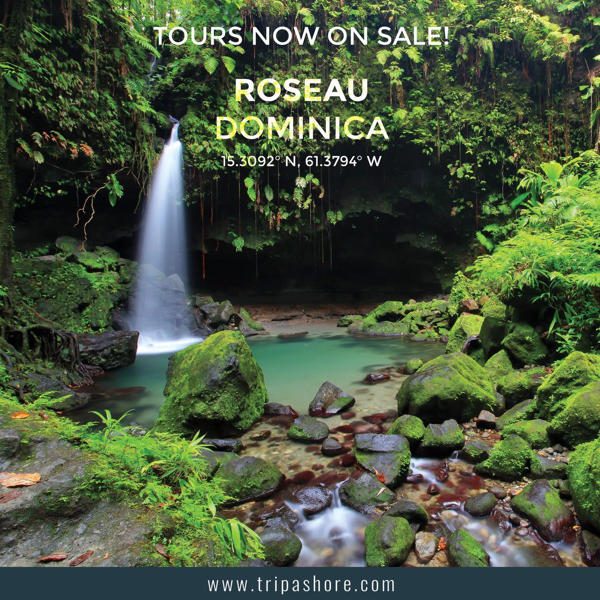 Tripashoreagent's tweet photo. See https://t.co/ppw6oegBiP for our range of #cruisetours in #Roseau #Dominica

https://t.co/EqDka5fiuH https://t.co/B3N8sb7RgN