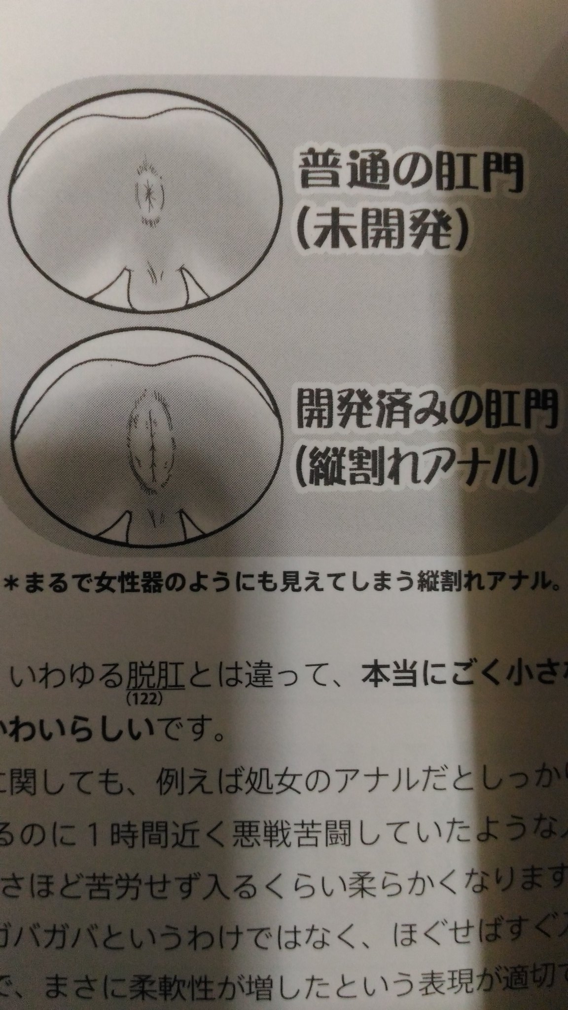 縦 割れ 肛門 ❤️ Best adult photos at mikas.help