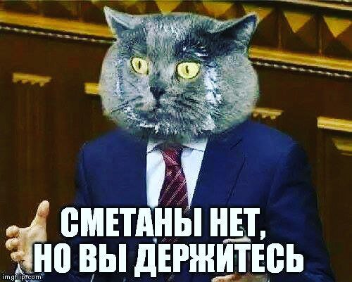 Евросоюз допускает продление санкций против России из-за действий в Сирии, - Туск - Цензор.НЕТ 8833