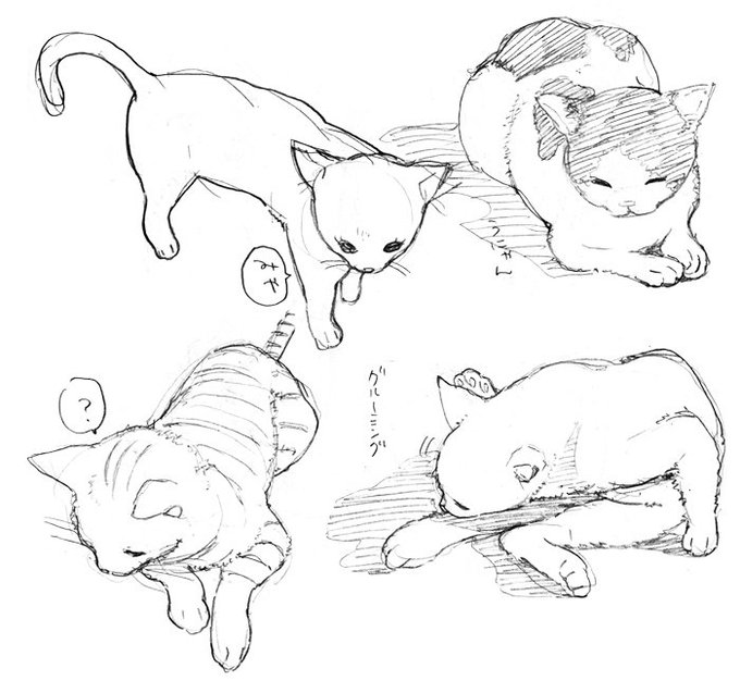 スケッチ猫たち 
