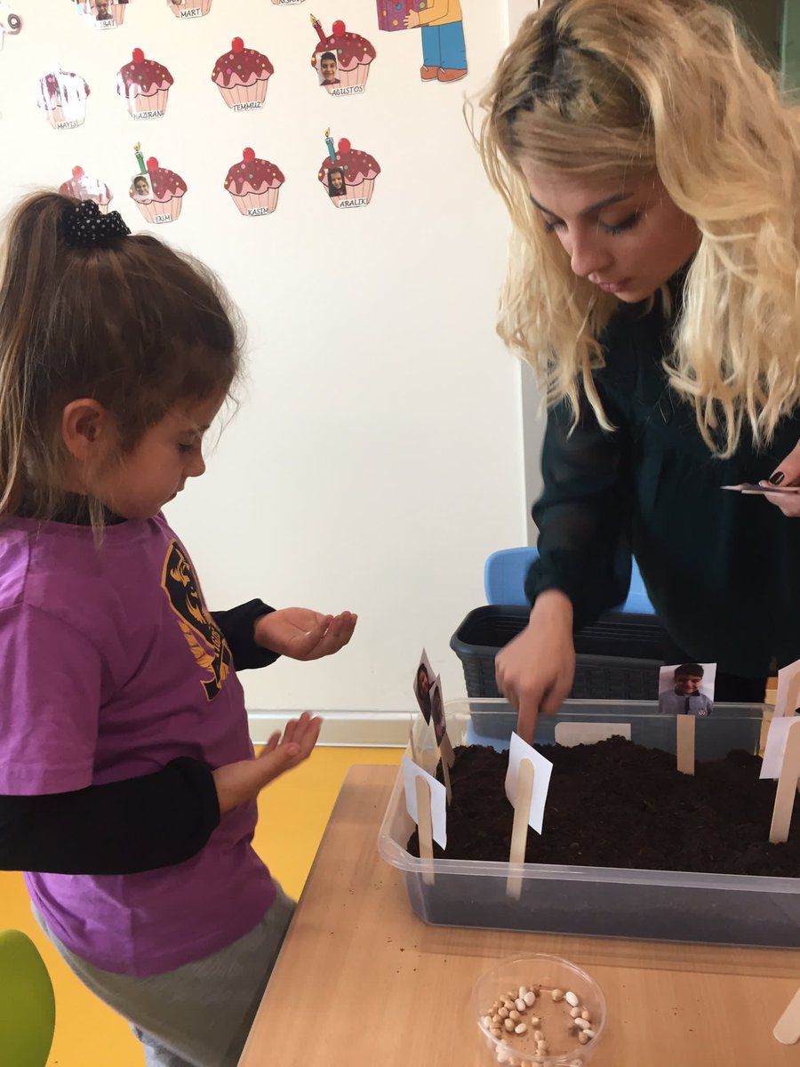 Tohum Filizlenmesi Bilim Deneyi🔬🌱🌿 #ErkenSTEM Seed Sprouting Science Experiment #EarlySTEM #STEMactivities #UğurdaBirGünüm