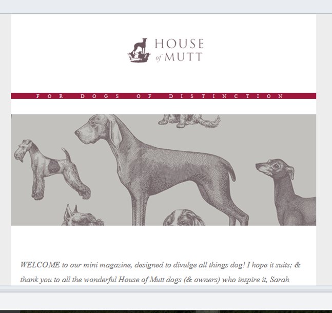 houseofmutt's tweet photo. We've been scribbling! And #Mutterings is the result, a monthly mini 'magazine' on #AllthingsDog :) take a look! https://t.co/iy4Nr0M6mZ. https://t.co/09BzR5B1KT