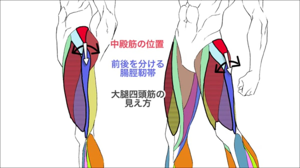 お絵かき講座パルミー Auf Twitter 上半身に続いて下半身もマスターしちゃいましょう 講師は上半身の筋肉の描き方講座と同じ イラストレーターの幸坊先生 ゚w゚ ノ 描き方のコツや細かいポイントを網羅しているので とっても勉強になりますよ お絵かき講座パルミー Auf Twitter 上半身に続いて下半身もマスターしちゃいましょう 講師は上半身の筋肉の描き方講座と同じ イラストレーターの幸坊先生 ゚w゚ ノ 描き方のコツや細かいポイントを網羅しているので とっても勉強になりますよ