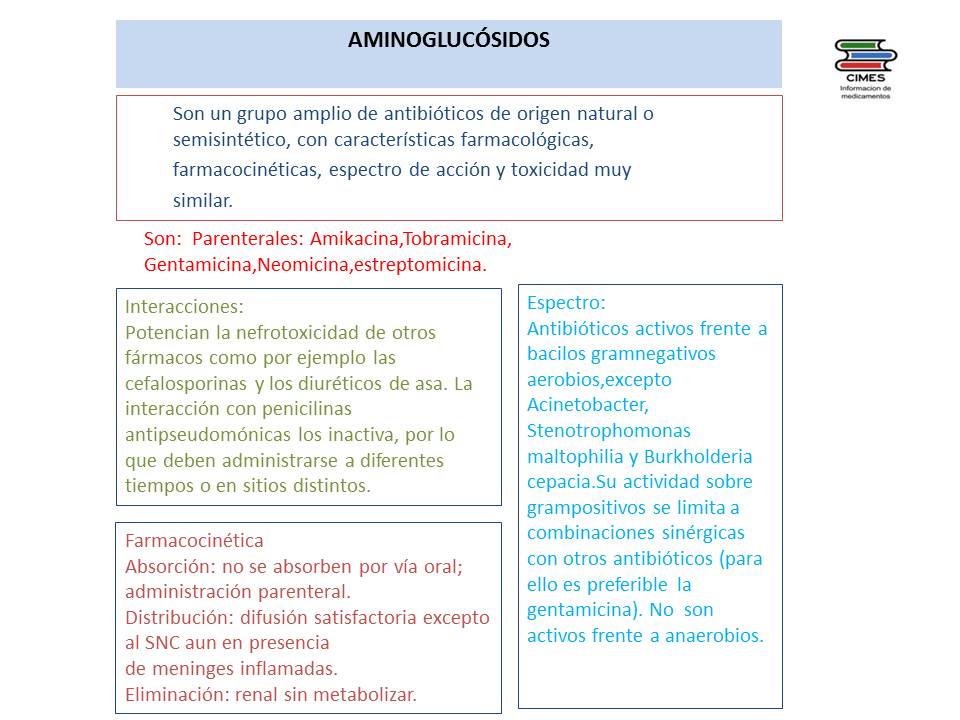 aminoglucosidos
