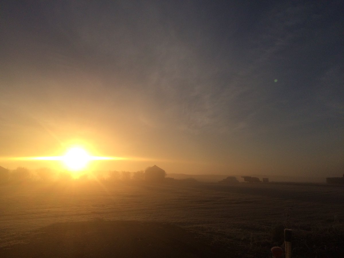 SweetCurling's tweet photo. #wcsask #sk #landoflivingskies #foggy #frosty #morning #sunrise #myphotography #blackandwhite and #unedited 💫 https://t.co/KwpoeuUr0x